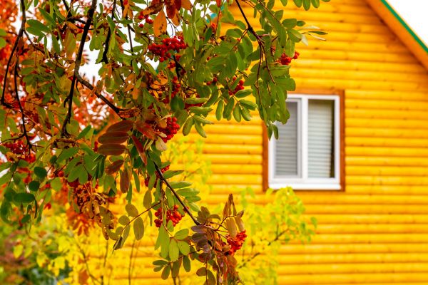 Garden Window Replacement in Lake Worth